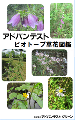 ビオトープ草花図鑑