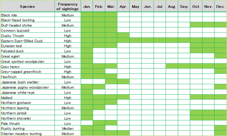 Calendar of Bird Sightings