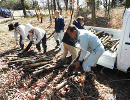 Firewood Donations to Chino Biotope Forest