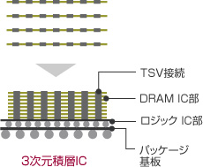 img_csr_special01_img03_jp